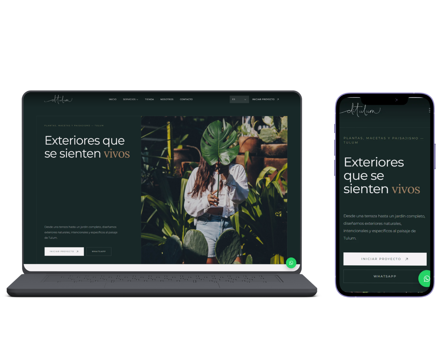Vista del proyecto Ditulum